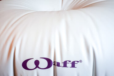 Un nouveau projet Syliane