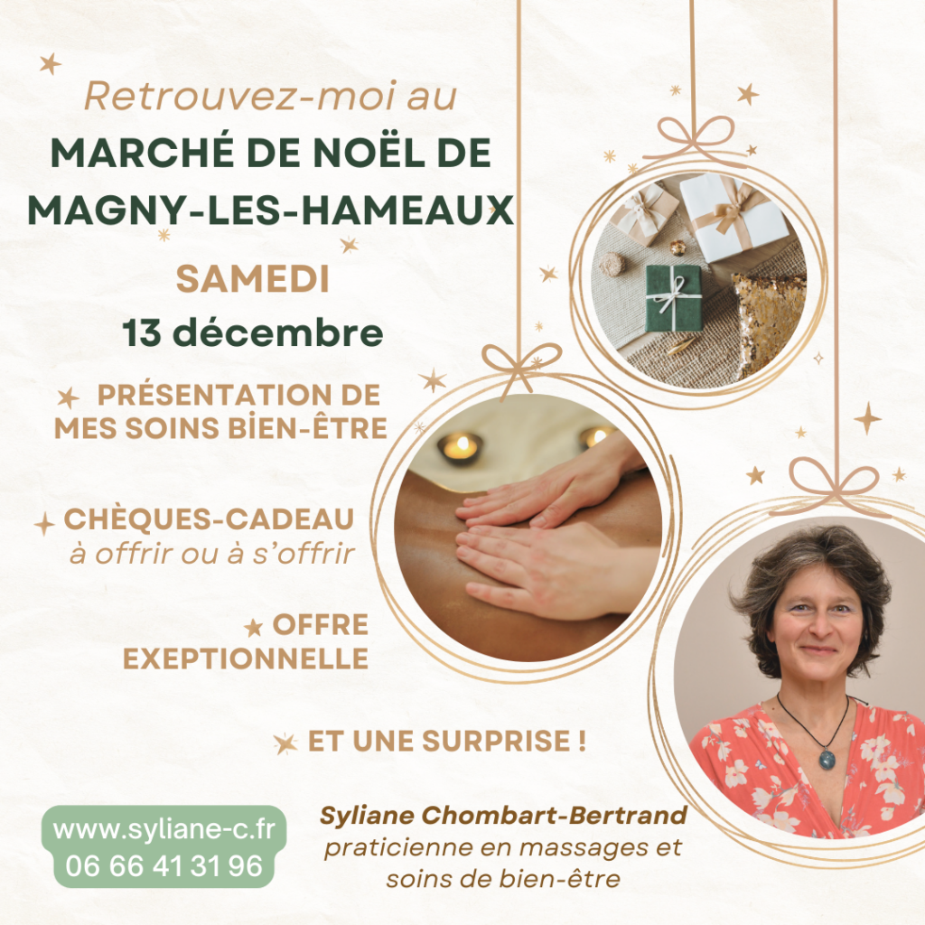 Retrouvez-moi au Marché de Noêl de Magny-les-Hameaux