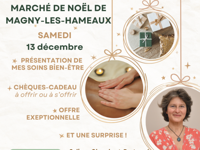Retrouvez-moi au Marché de Noêl de Magny-les-Hameaux